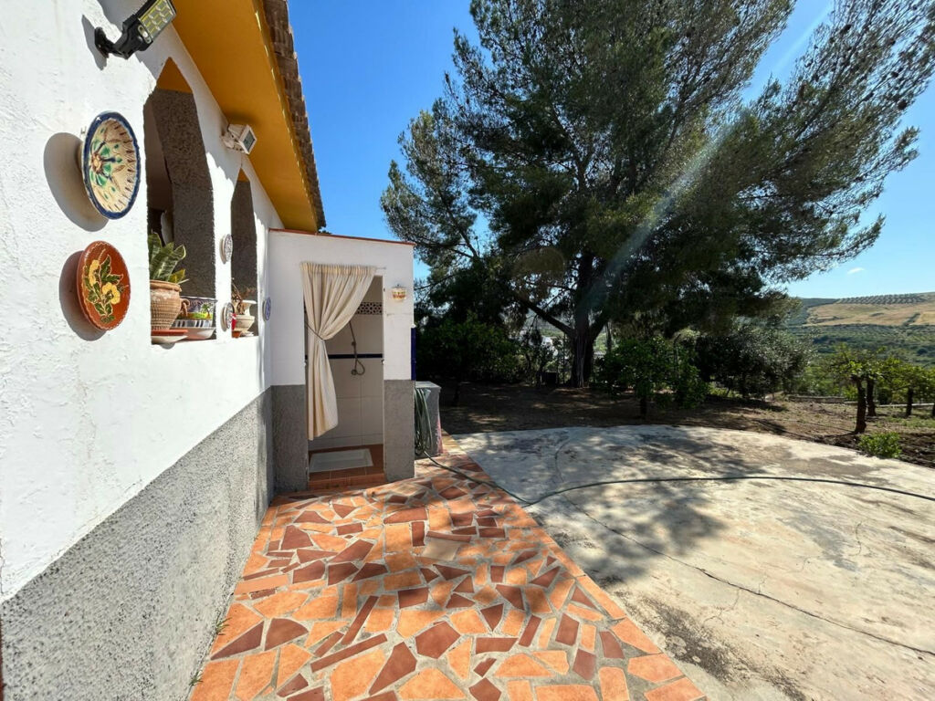Detached Villa Alora Málaga - image 31