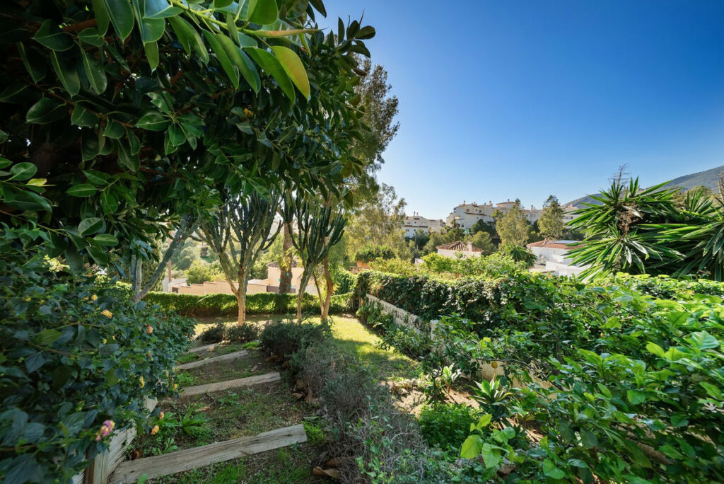 Detached Villa Benalmadena Málaga - image 31