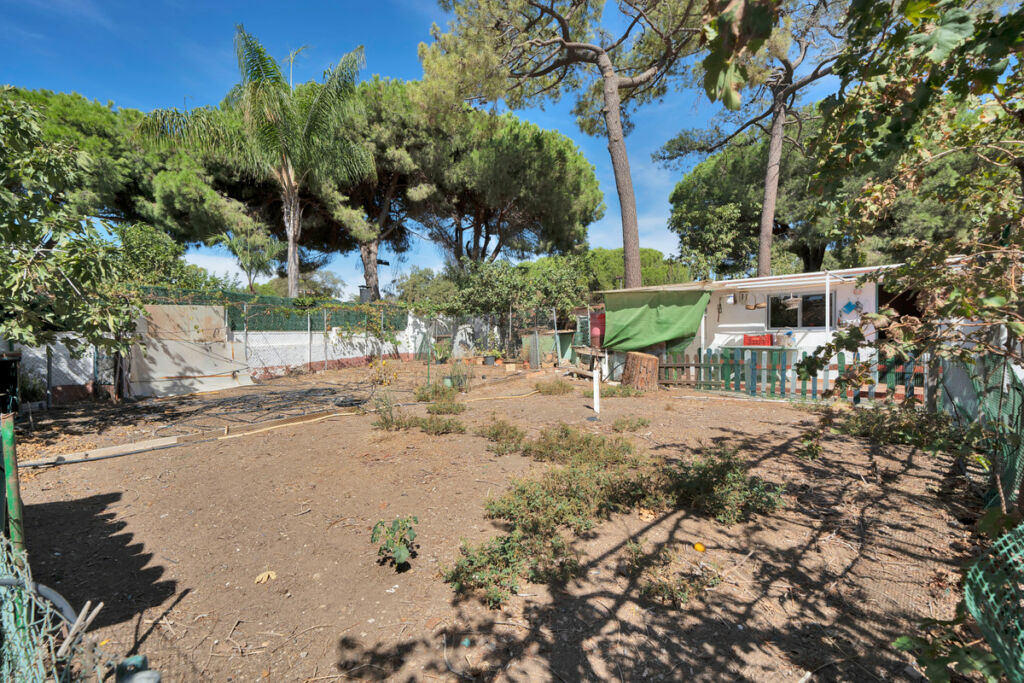 Detached Villa Marbella Málaga - image 31