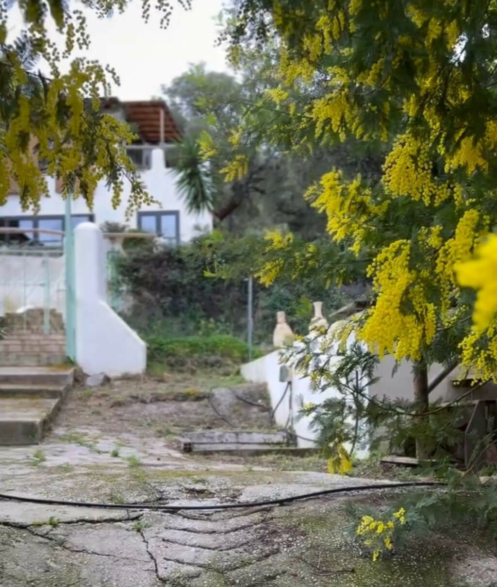 Finca - Cortijo Monda Málaga - image 32