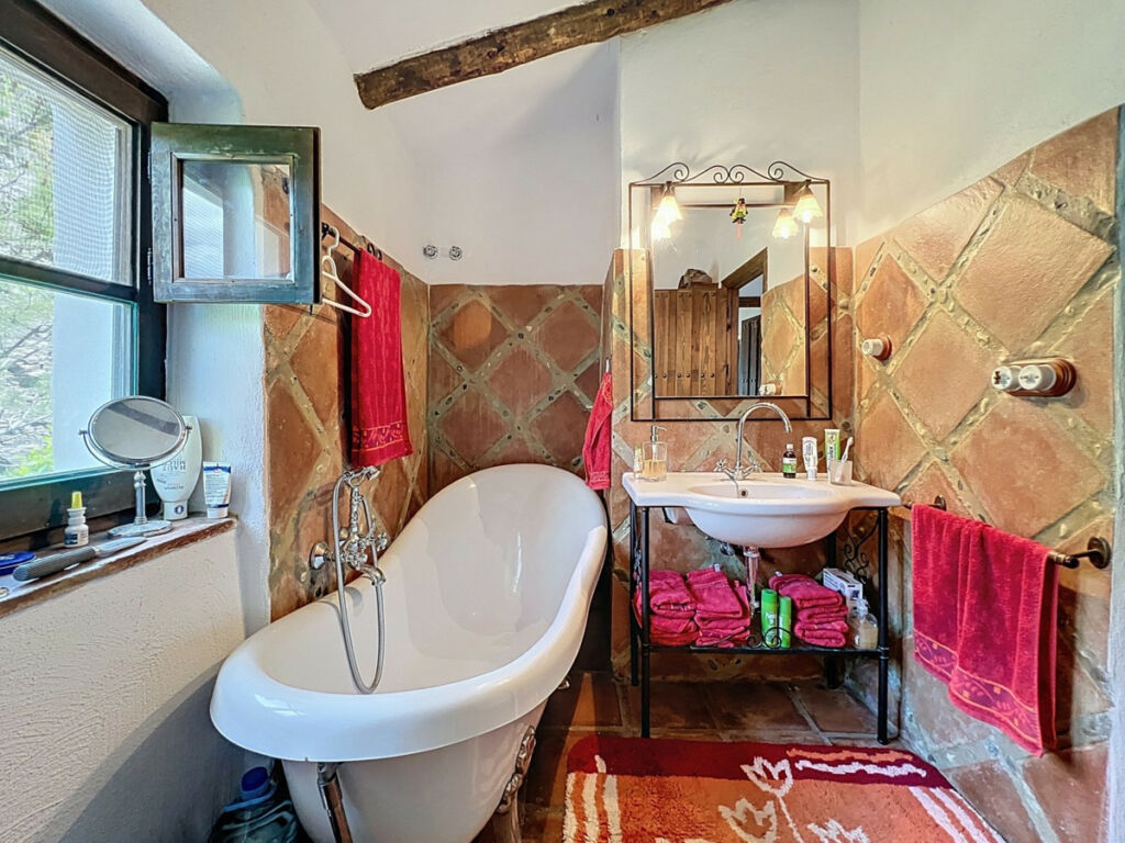 Detached Villa Sayalonga Málaga - image 32