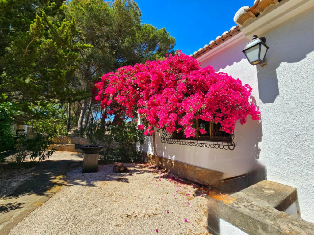 Detached Villa Javea Alicante - image 32