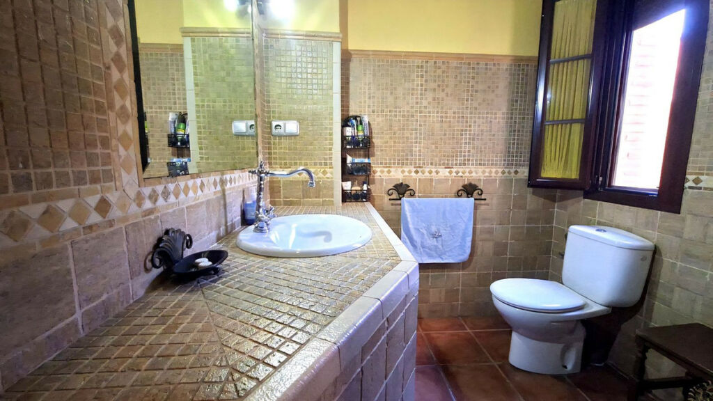 Detached Villa Arriate Málaga - image 33