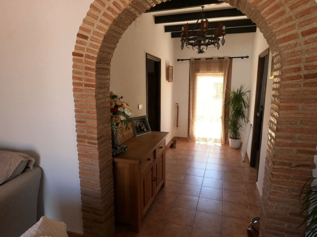 Detached Villa Jacarilla Alicante - image 33