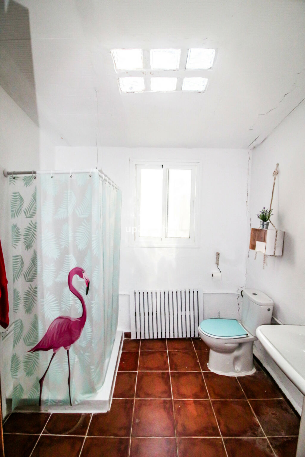 Detached Villa Gaucín Málaga - image 34