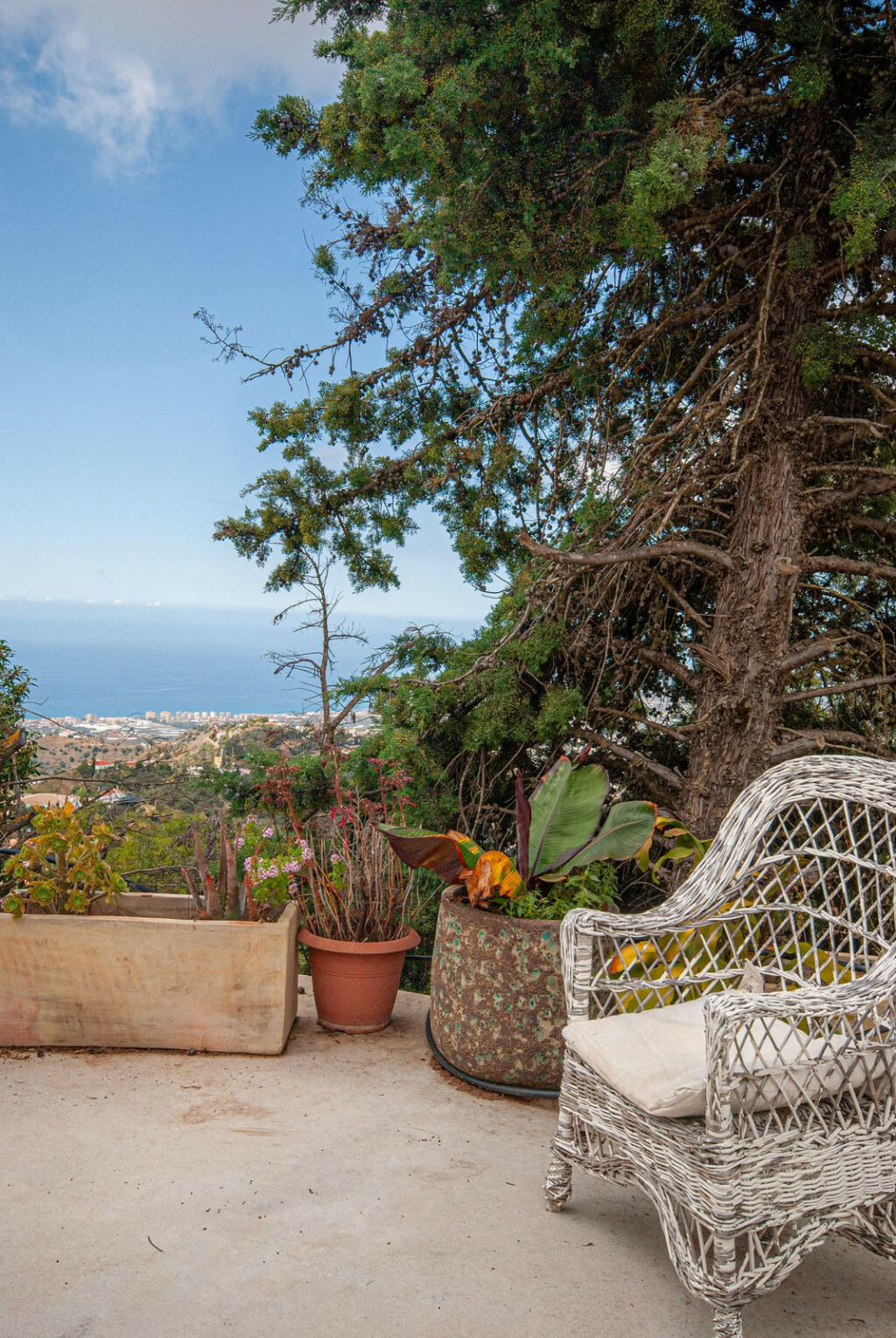 Detached Villa Sayalonga Málaga - image 35
