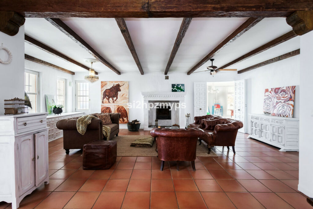 Detached Villa Sayalonga Málaga - image 35