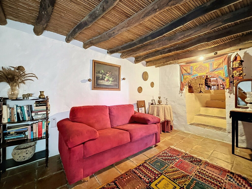 Detached Villa Comares Málaga - image 36