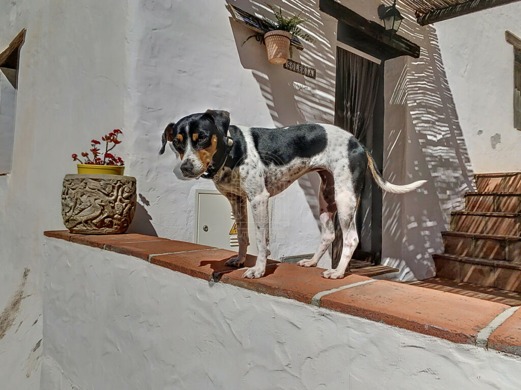 Townhouse Cómpeta Málaga - image 36