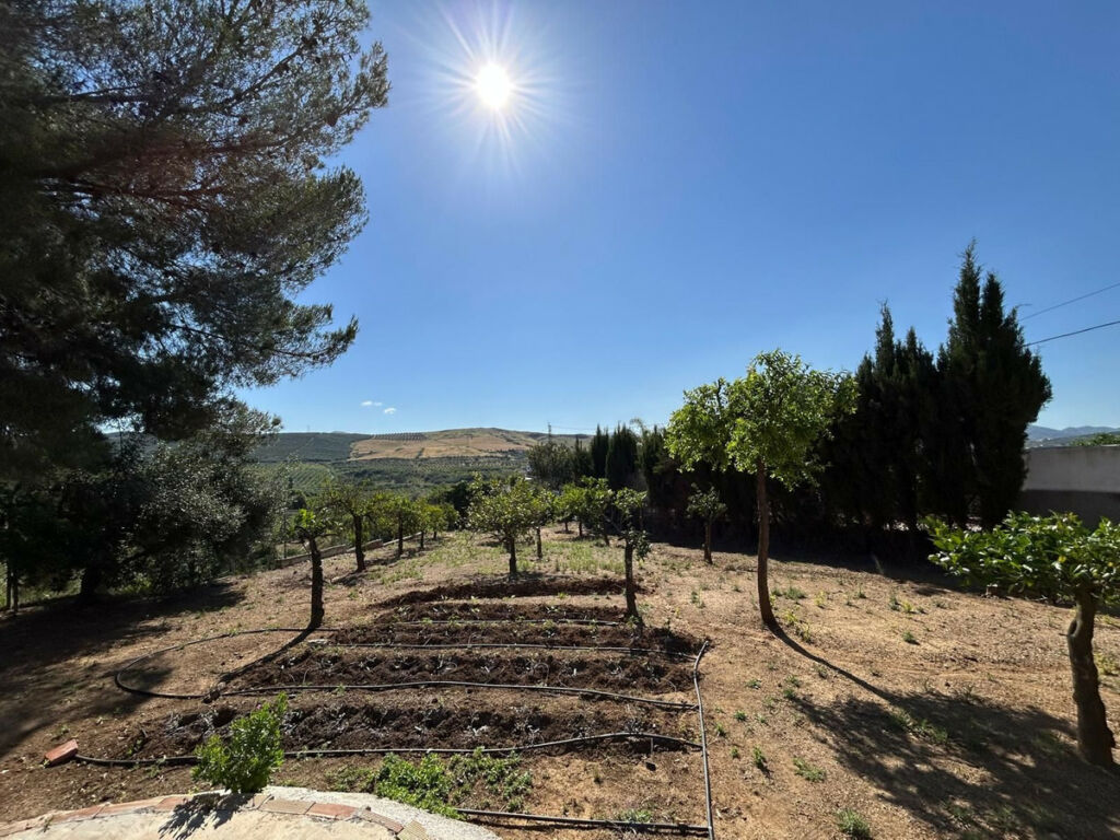 Detached Villa Alora Málaga - image 35