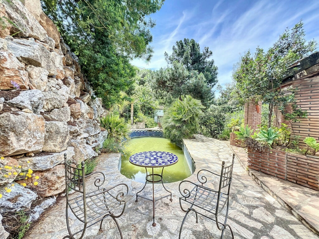 Detached Villa Sayalonga Málaga - image 37