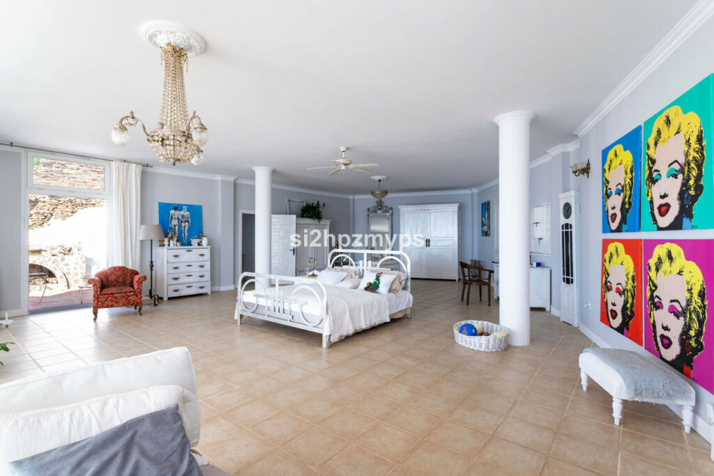 Detached Villa Sayalonga Málaga - image 37