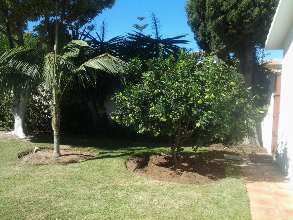 Detached Villa San Pedro de Alcántara Málaga - image 38