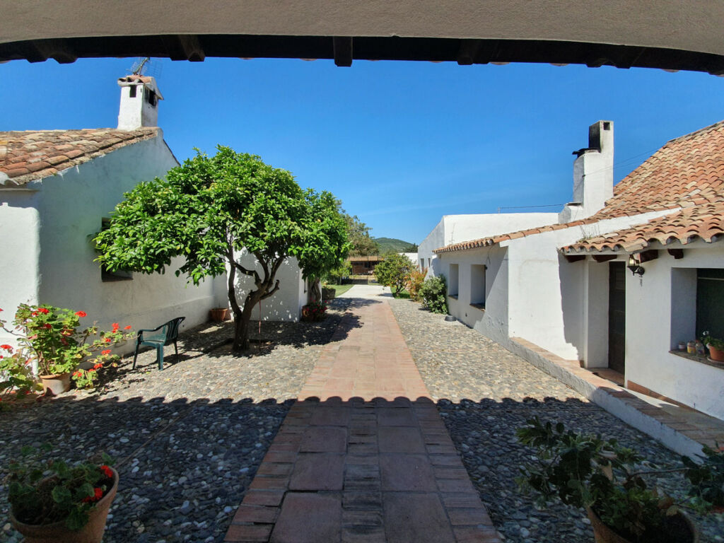 Finca - Cortijo San Enrique Cádiz - image 38
