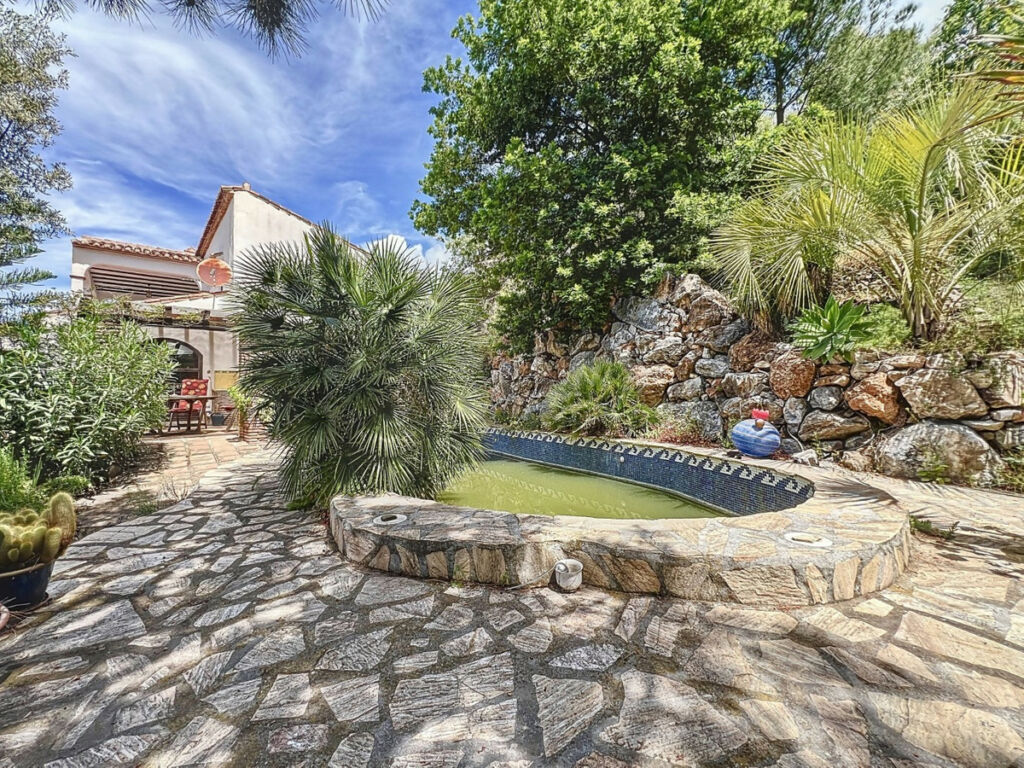 Detached Villa Sayalonga Málaga - image 38
