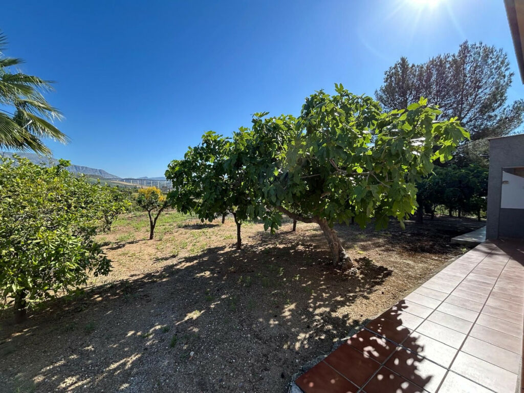 Detached Villa Alora Málaga - image 37