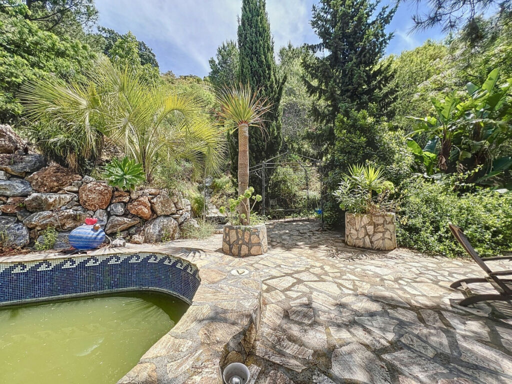Detached Villa Sayalonga Málaga - image 39