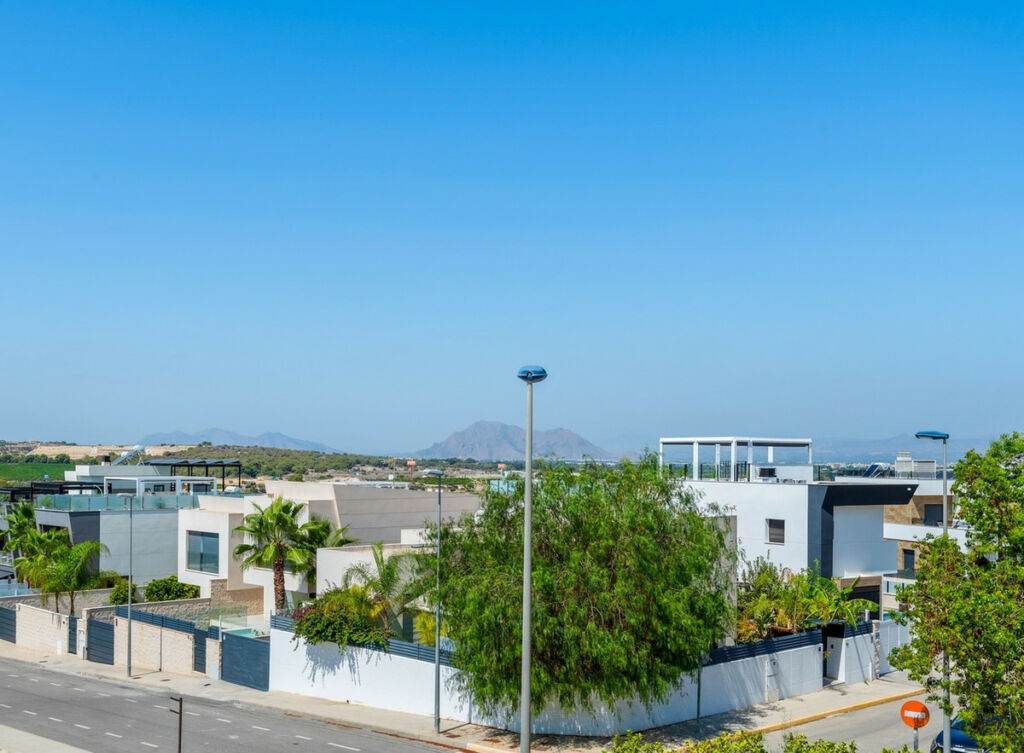 Detached Villa Benijofar Alicante - image 39