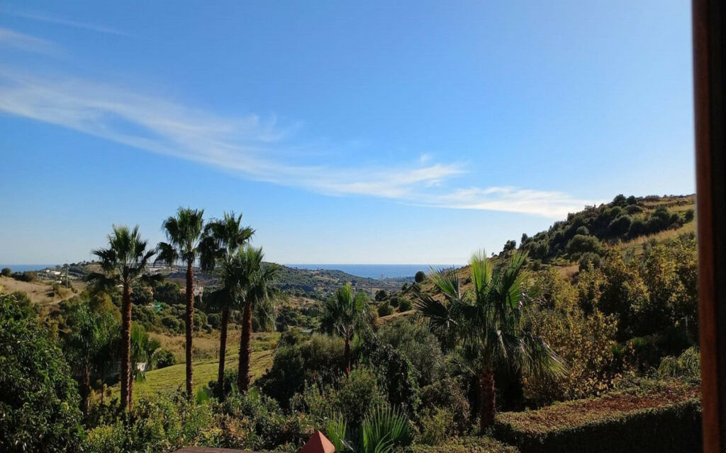 Finca - Cortijo Estepona Málaga - image 4