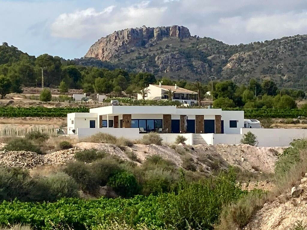 Detached Villa Pinoso Alicante - image 4
