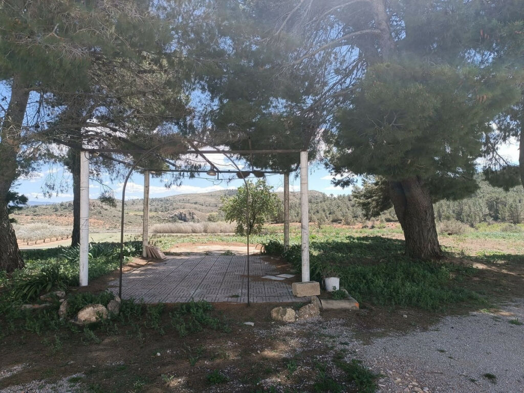 Finca - Cortijo Yecla Murcia - image 4