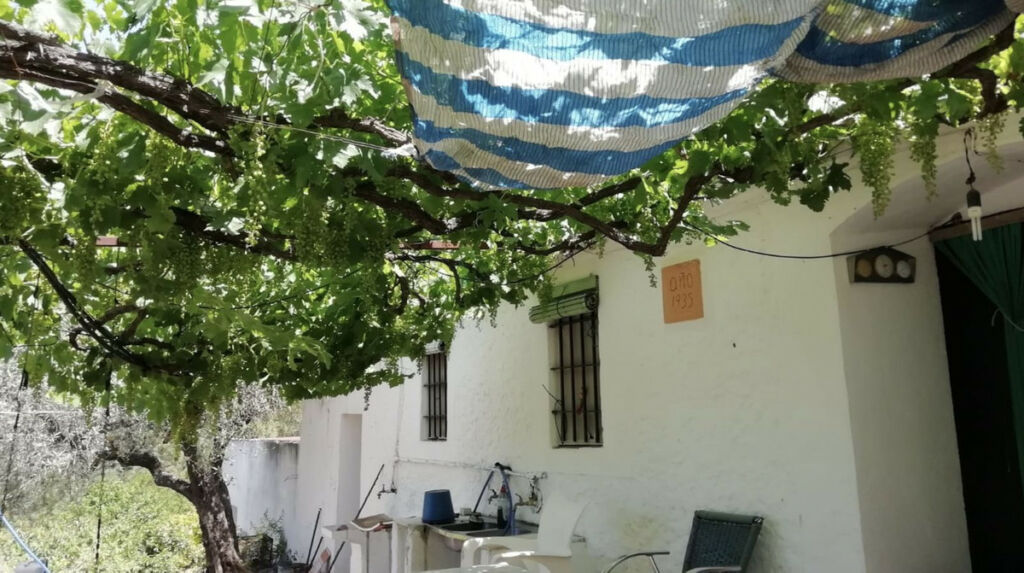 Finca - Cortijo Istán Málaga - image 8