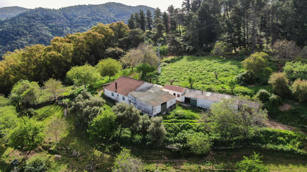 Finca - Cortijo Gaucín Málaga - image 4