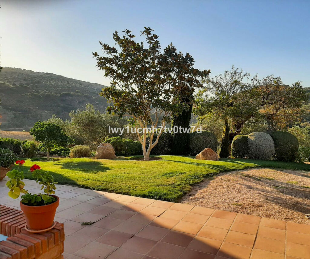 Finca - Cortijo Archidona Málaga - image 4