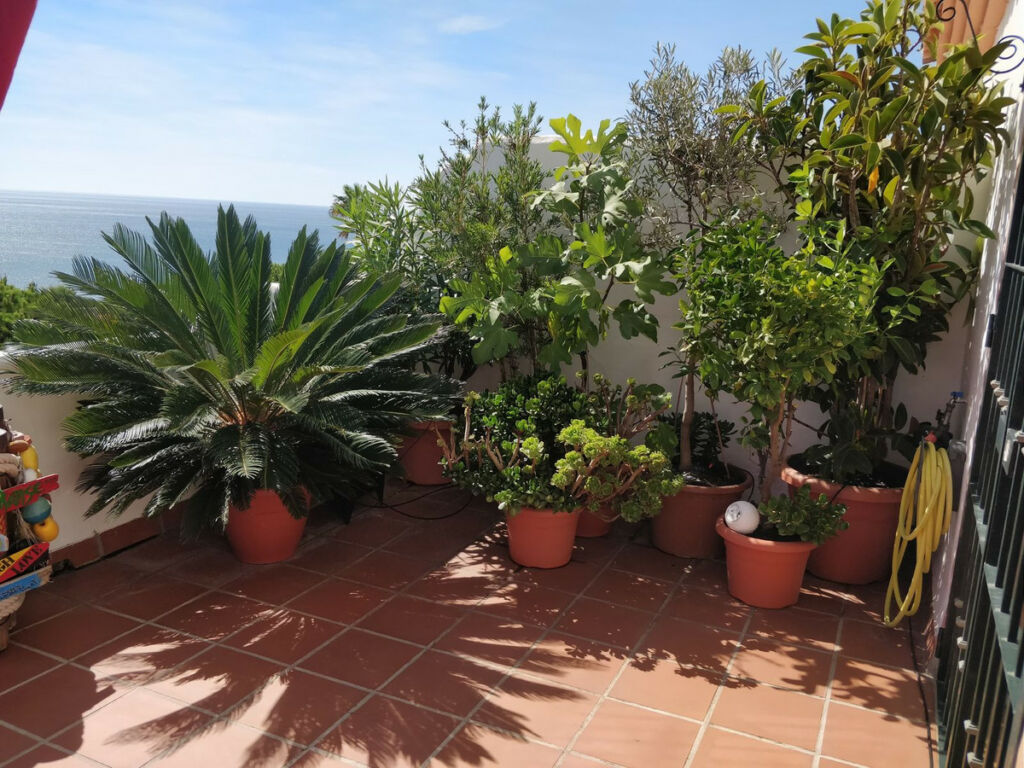 Penthouse Duplex Casares Playa Málaga - image 4