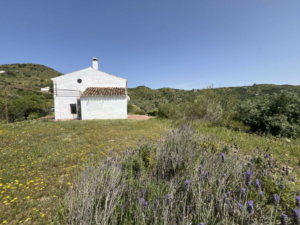 Finca - Cortijo Almogía Málaga - image 40