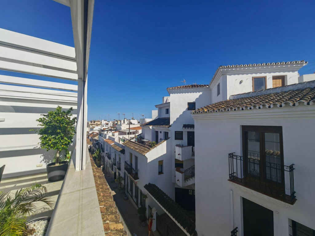 Detached Villa Estepona Málaga - image 40