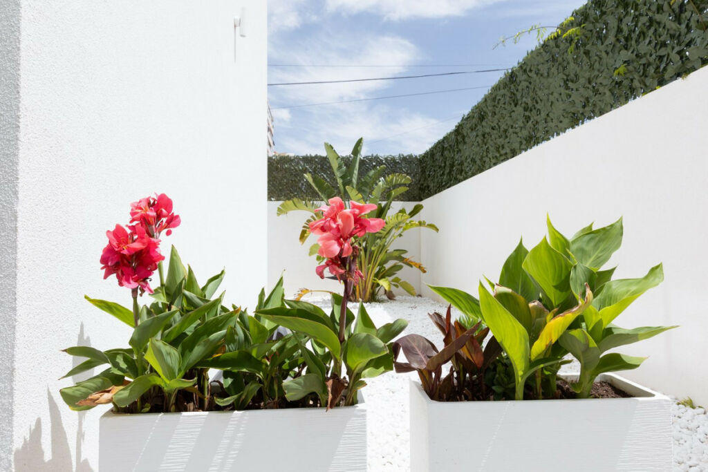 Detached Villa Benalmadena Málaga - image 40