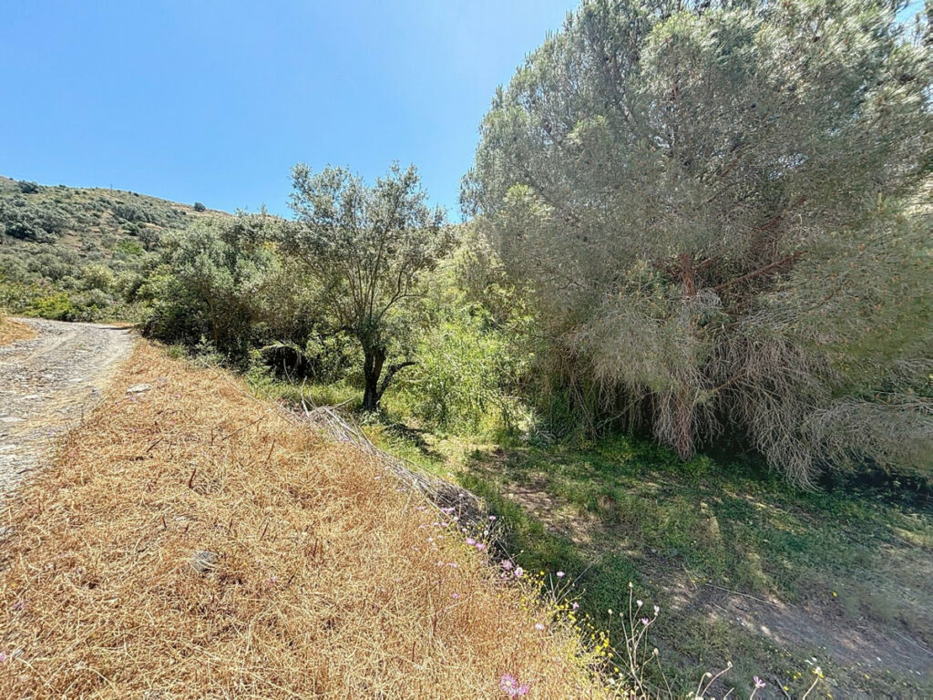 Semi-Detached House Torrox Málaga - image 41