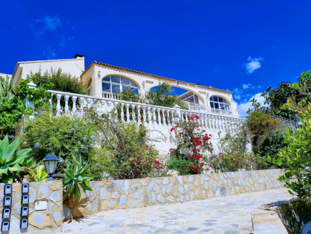 Detached Villa Torrevieja Alicante - image 22