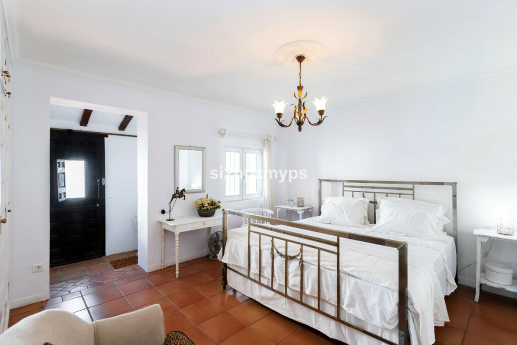 Detached Villa Sayalonga Málaga - image 42