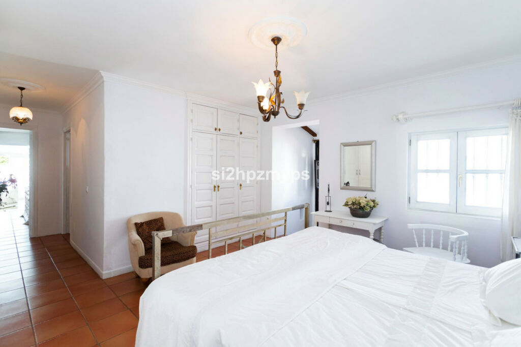 Detached Villa Sayalonga Málaga - image 43