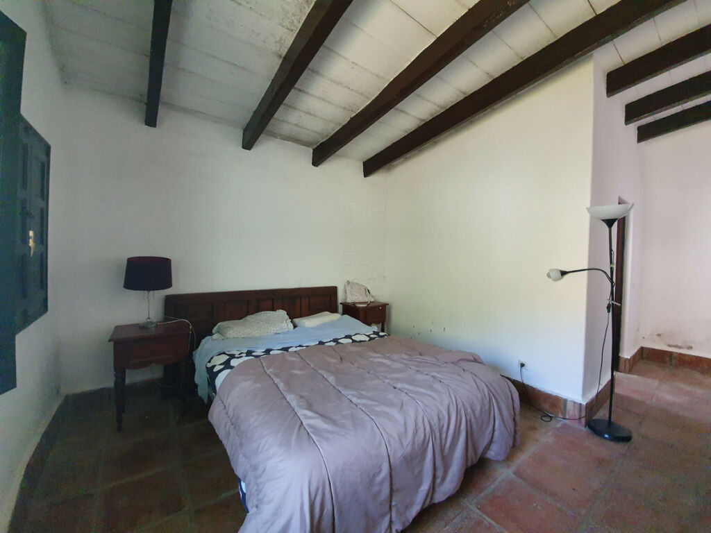 Finca - Cortijo San Enrique Cádiz - image 43