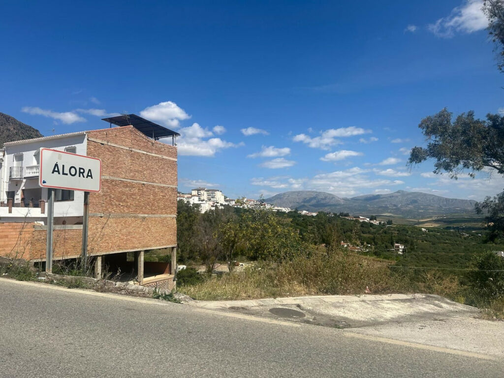 Detached Villa Alora Málaga - image 42