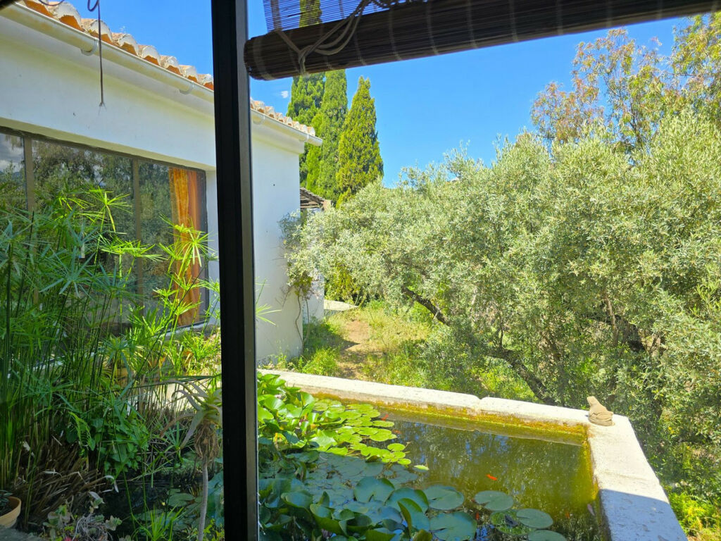 Detached Villa Torrox Málaga - image 43