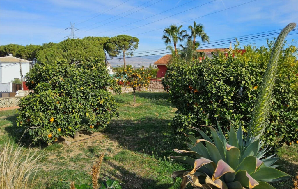 Detached Villa Alhaurín de la Torre Málaga - image 43