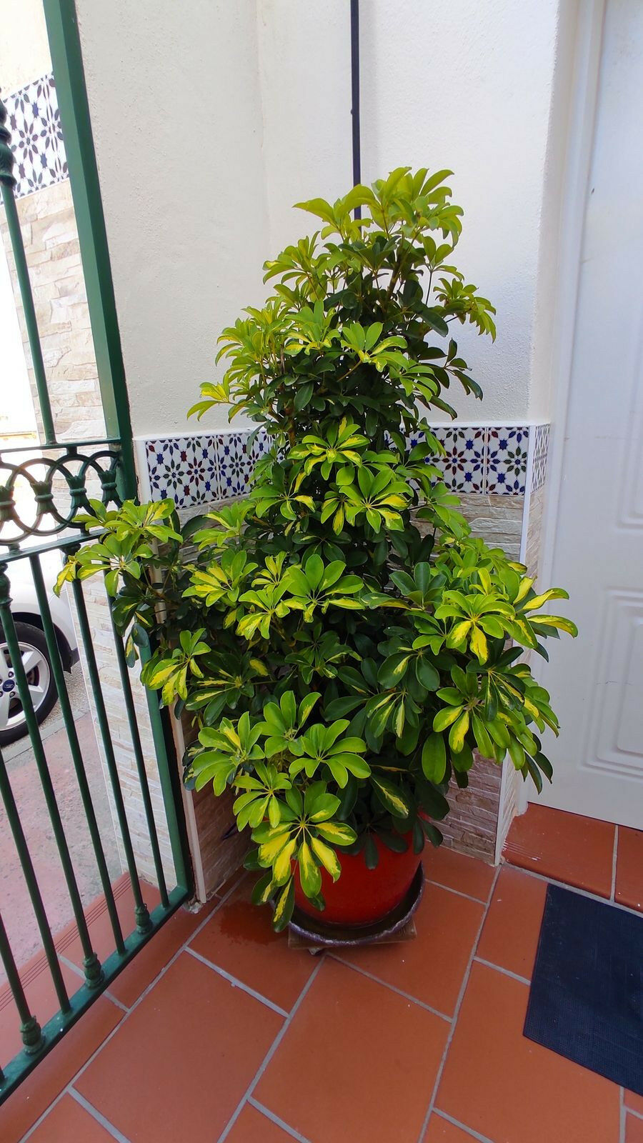 Detached Villa Coín Málaga - image 43
