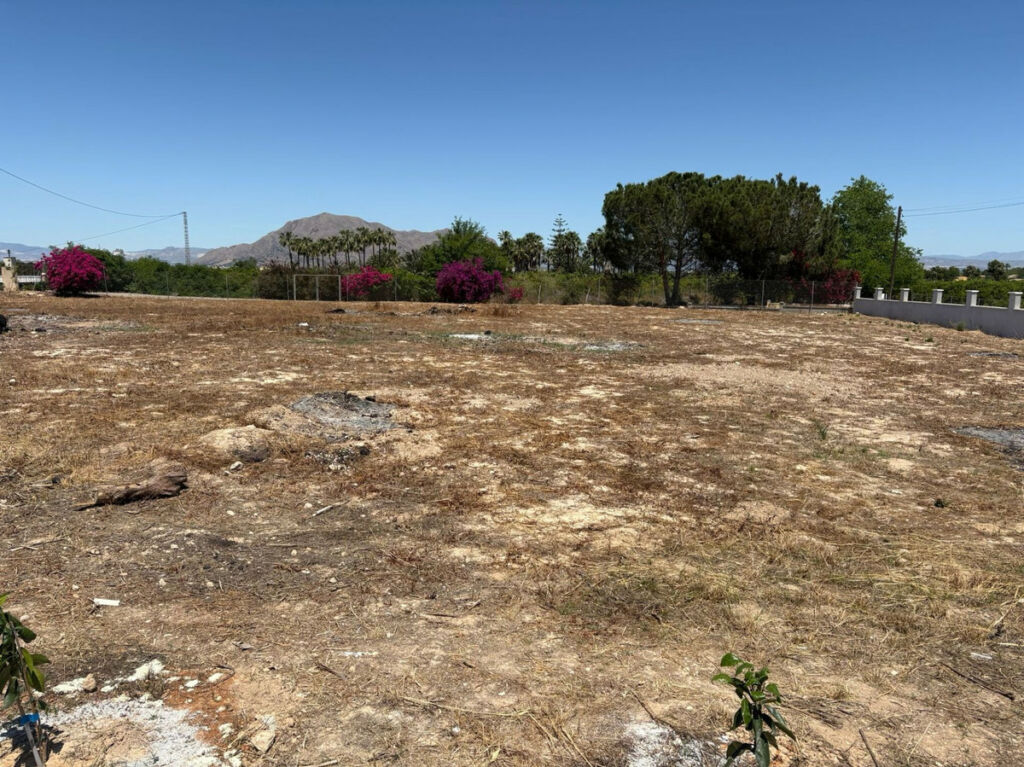 Detached Villa Jacarilla Alicante - image 44