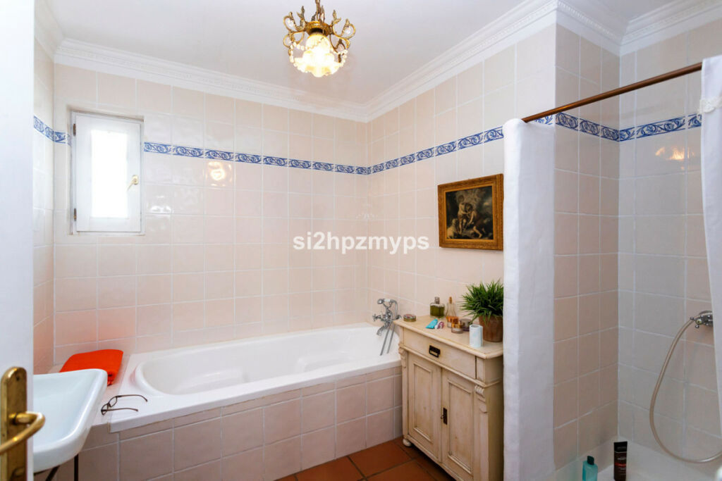 Detached Villa Sayalonga Málaga - image 44