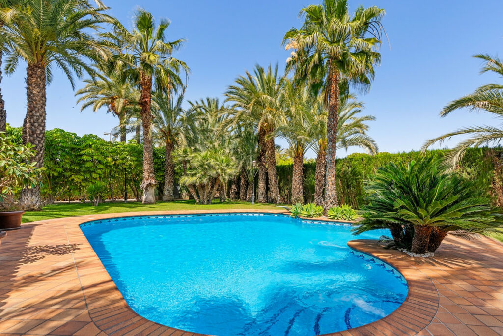 Detached Villa Elche Alicante - image 45