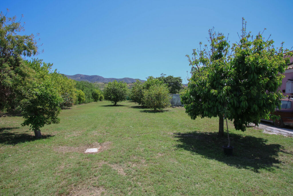 Detached Villa Cártama Málaga - image 50