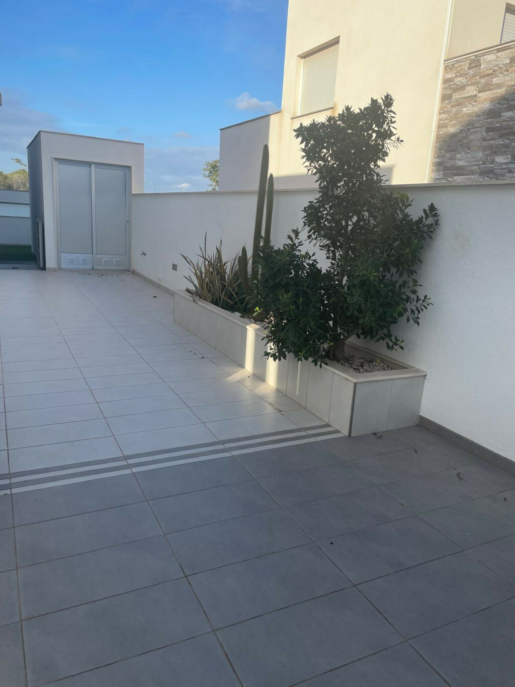 Detached Villa Pilar de la Horadada Alicante - image 46