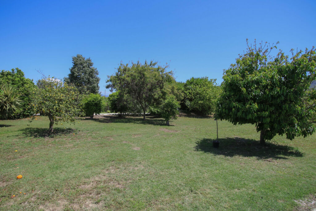 Detached Villa Cártama Málaga - image 52