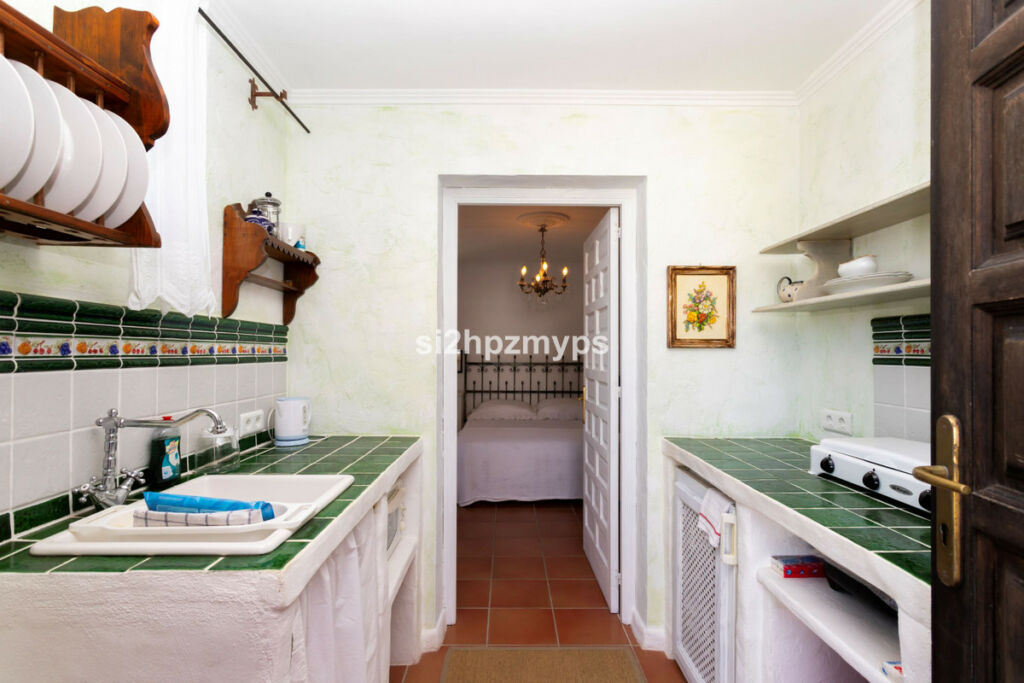 Detached Villa Sayalonga Málaga - image 47