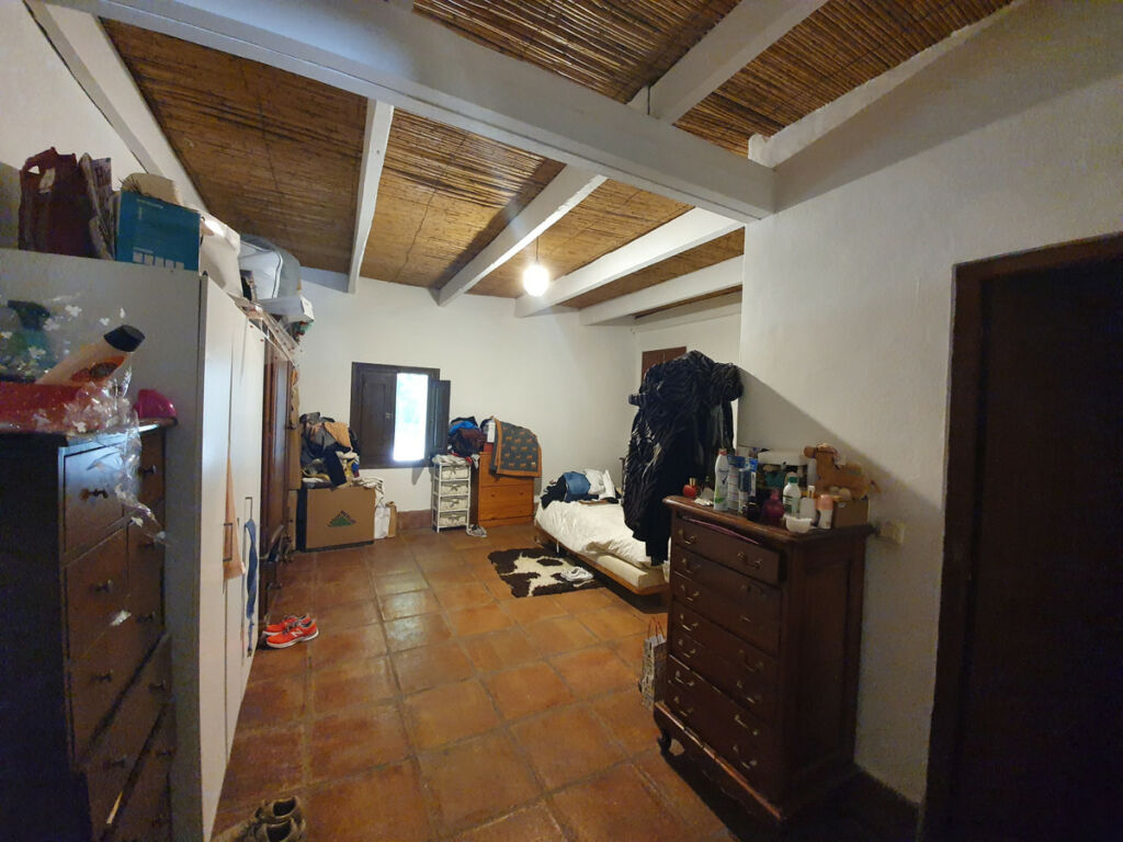 Finca - Cortijo San Enrique Cádiz - image 47