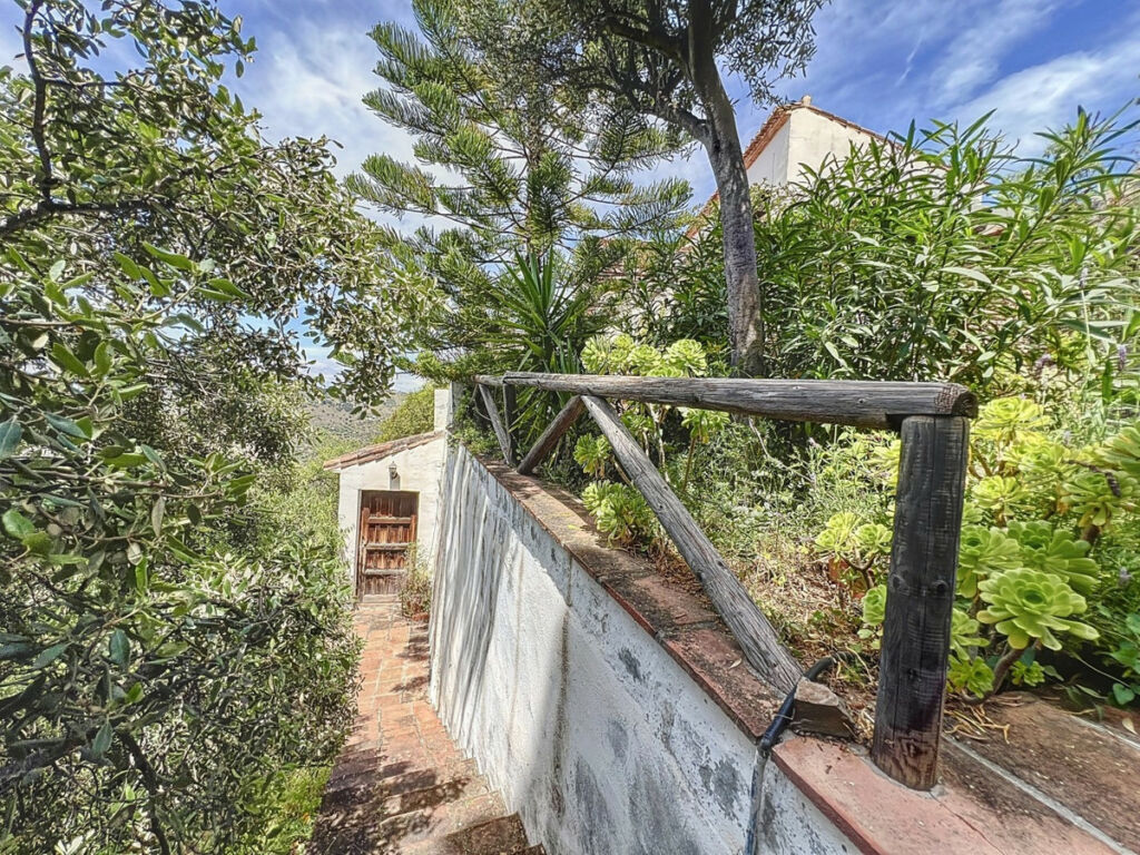 Detached Villa Sayalonga Málaga - image 48